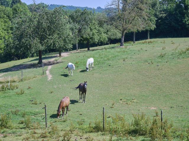 View from Holiday Home