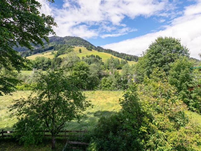 Aussicht vom Ferienhaus