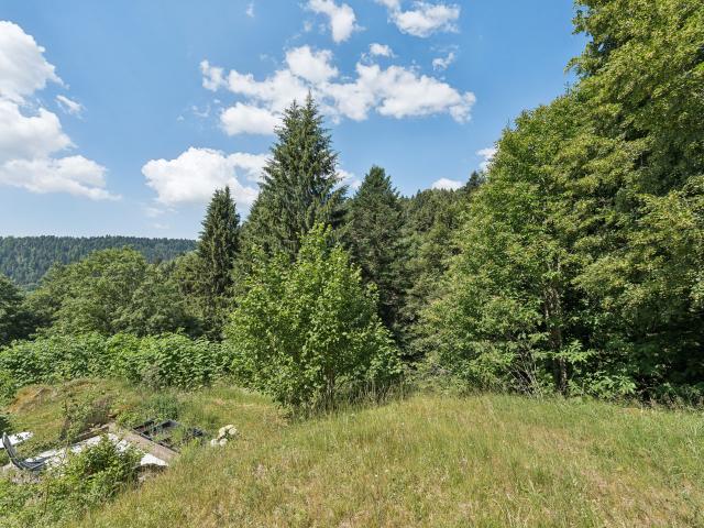 Aussicht vom Ferienhaus