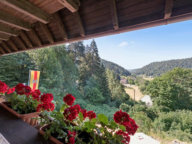 Terrasse / Balkon
