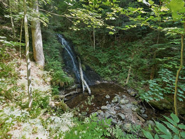 Direkte Umgebung (<1 km)
