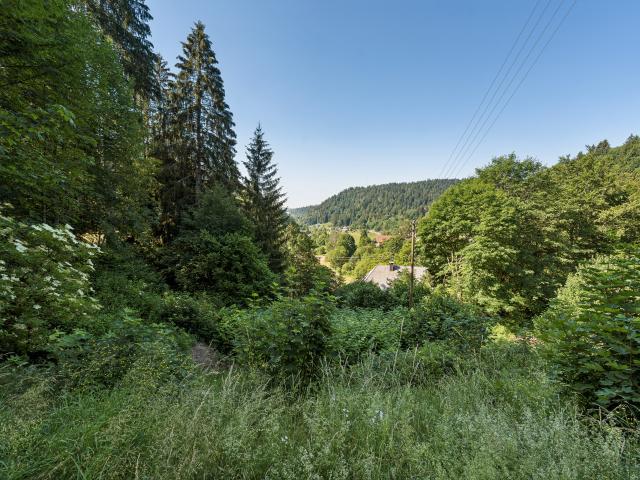 Aussicht vom Ferienhaus