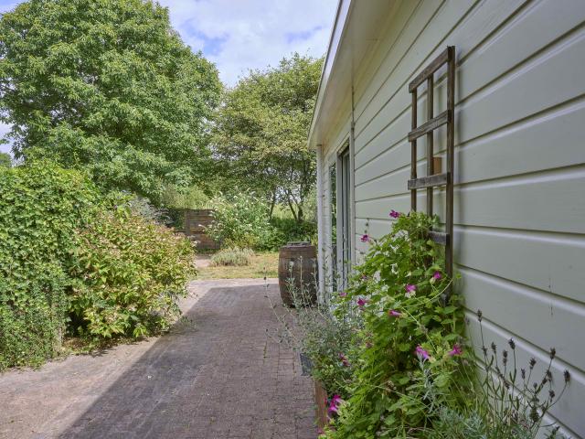 Tuin