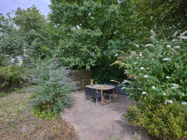 Tuin