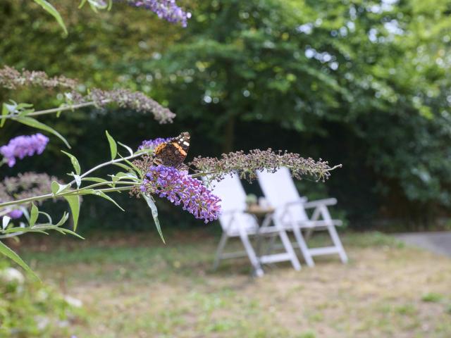 Tuin