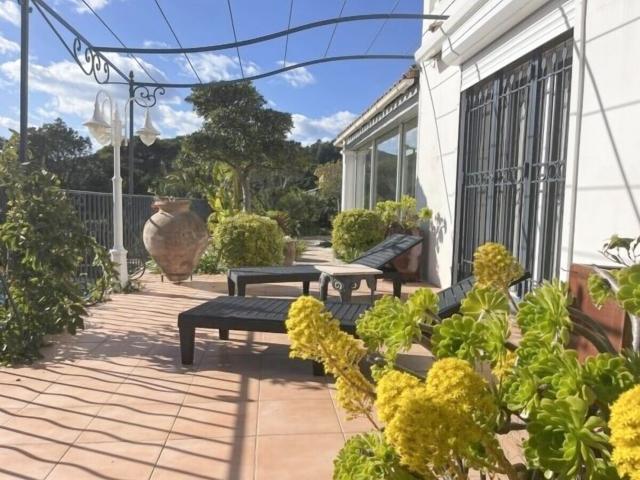Terrasse / Balkon