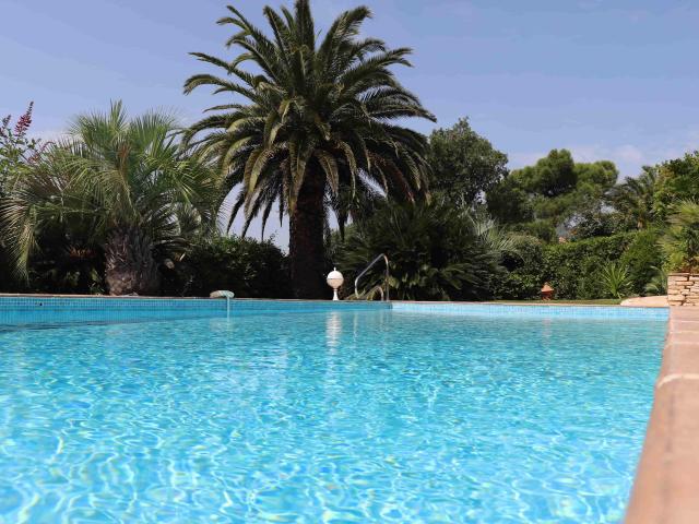 Pool des Ferienhauses