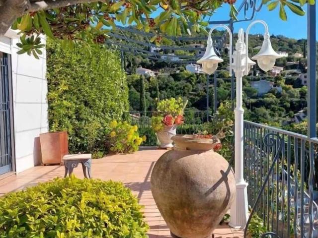 Terrasse / Balkon