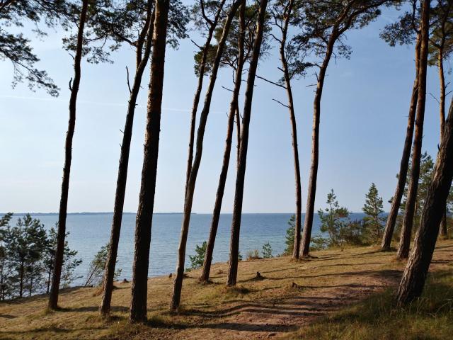 Omgeving (1-5 km)