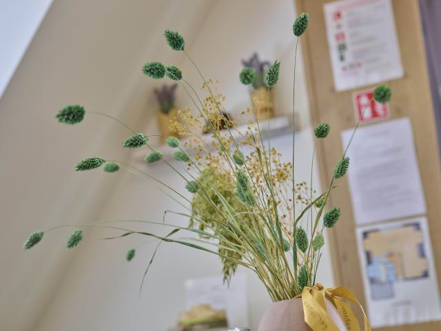 Ambiance / Close-up
