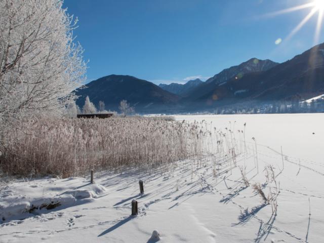 Dans les environs (1-5 km)