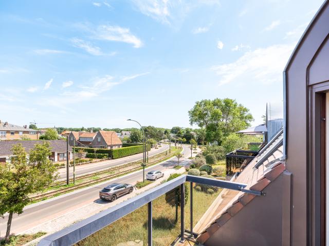 Aussicht vom Ferienhaus