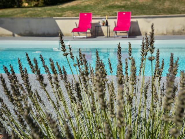 Pool des Ferienhauses