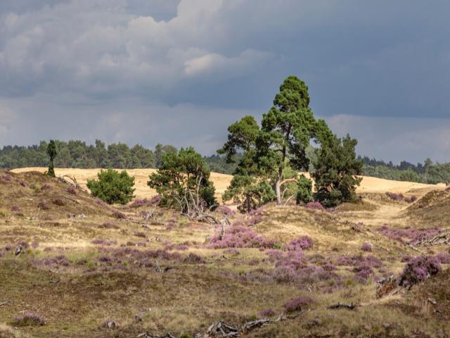 Immediate Surroundings (<1 km)