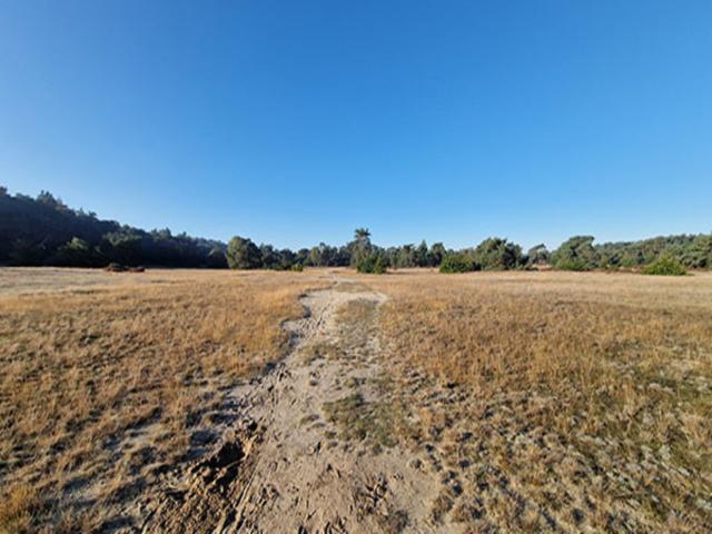Immediate Surroundings (<1 km)