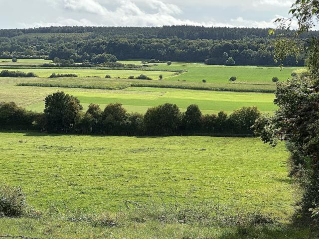 Directe omgeving (<1 km)