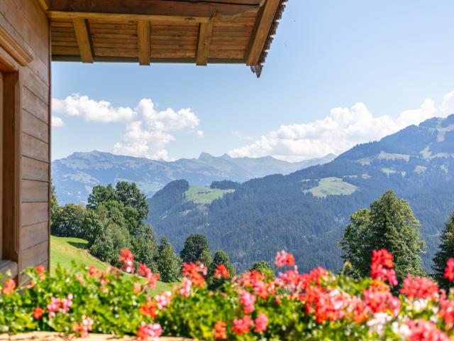 View from Holiday Home