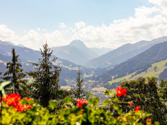 View from Holiday Home