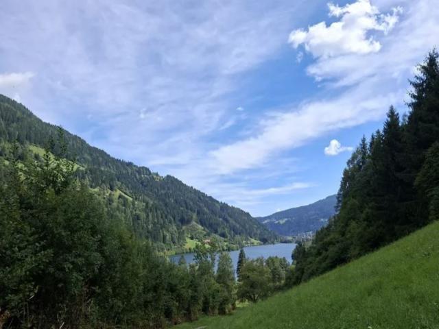 Surroundings (1-5 km)
