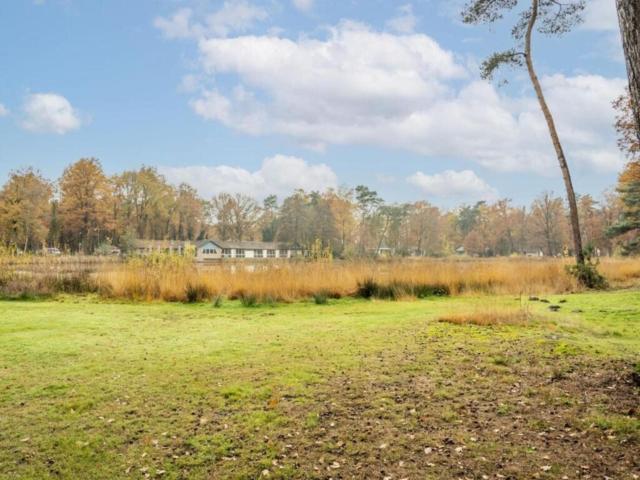 Directe omgeving (<1 km)