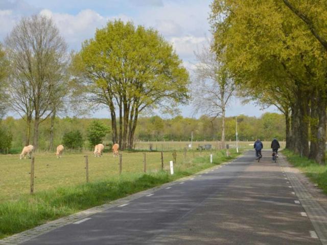 Omgeving (1-5 km)