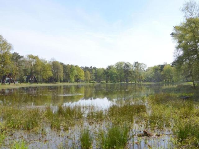 Directe omgeving (<1 km)