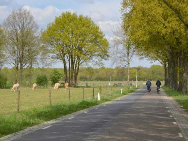 Omgeving (1-5 km)