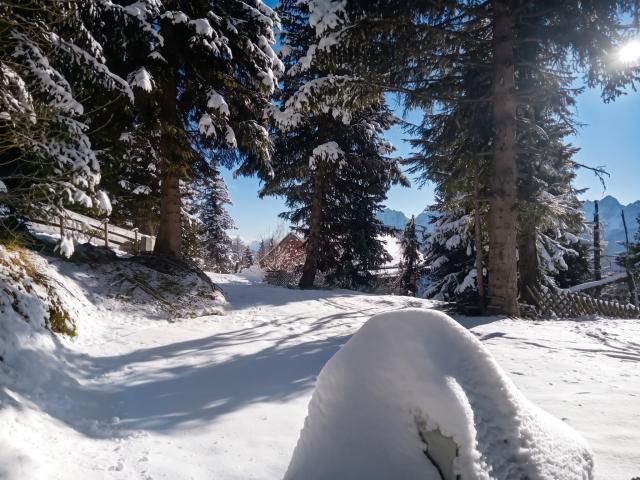 Directe omgeving (<1 km)