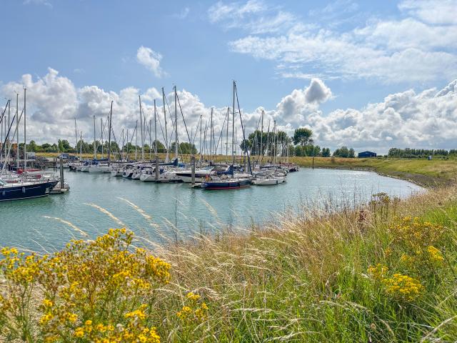 Directe omgeving (<1 km)