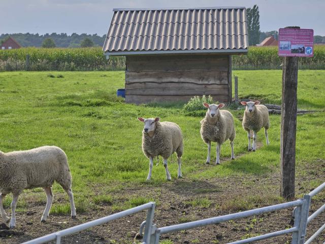 Direkte Umgebung (<1 km)