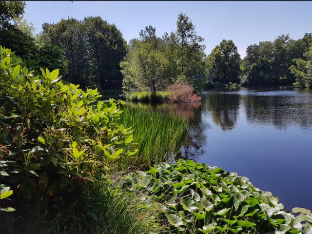 Uitzicht van vakantiehuis