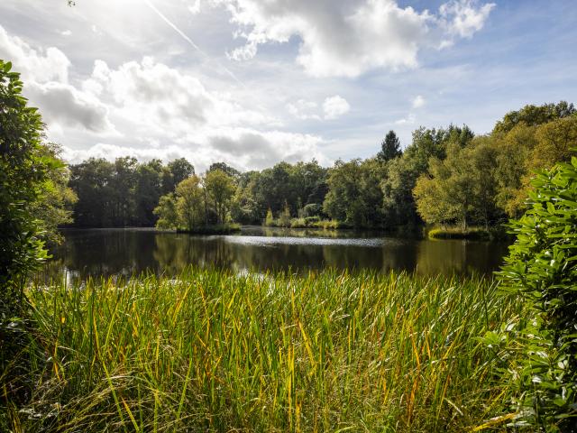 Uitzicht van vakantiehuis
