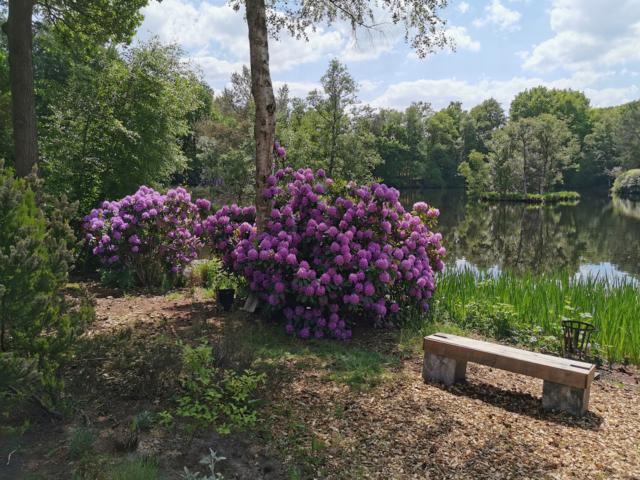 Tuin