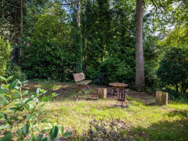 Tuin