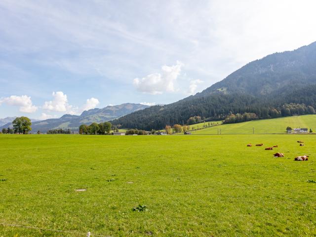 In de regio (>5 km)