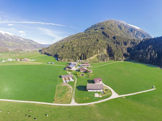 Directe omgeving (<1 km)