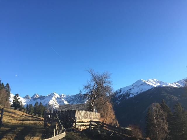 Directe omgeving (<1 km)