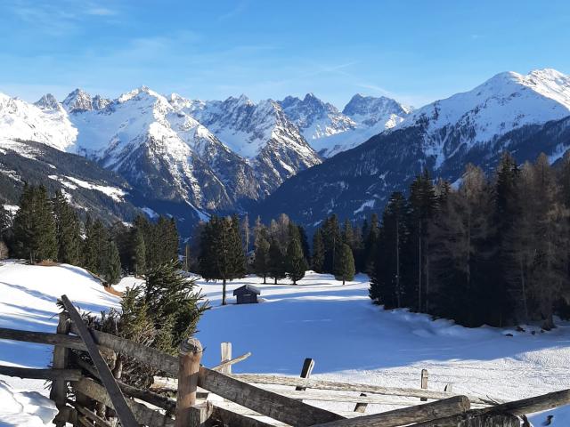 Directe omgeving (<1 km)