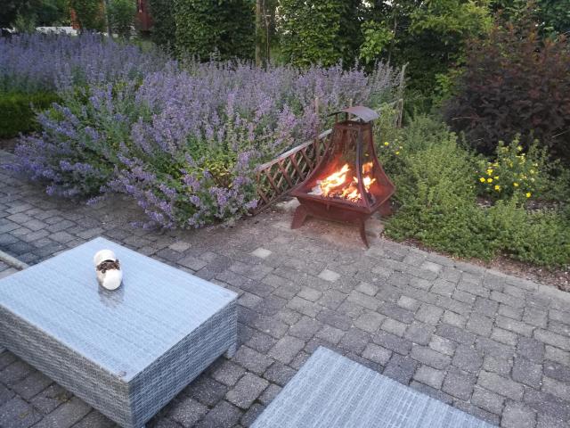 Tuin