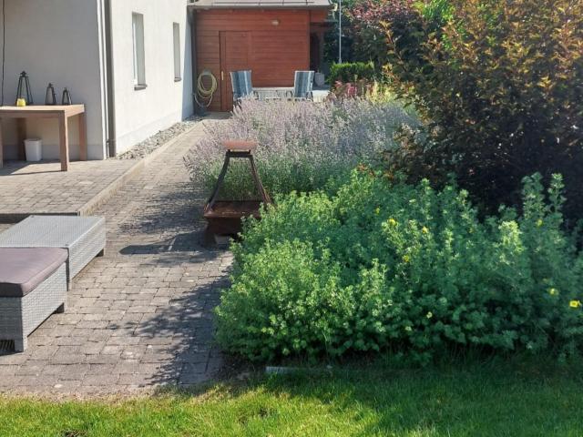 Tuin