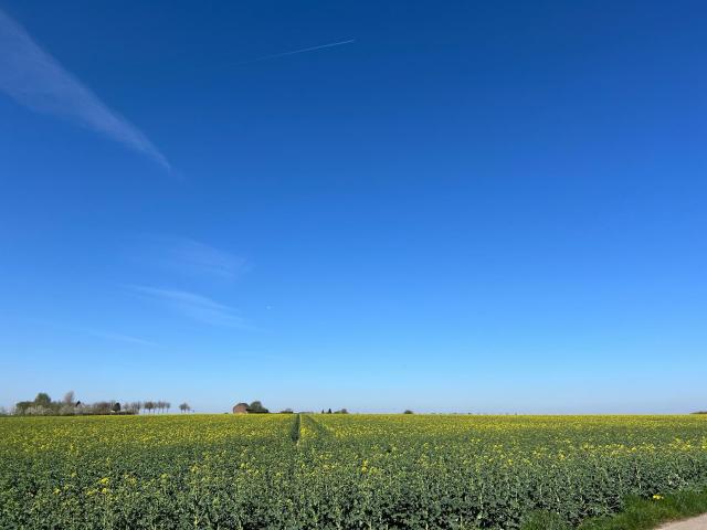 Omgeving (1-5 km)