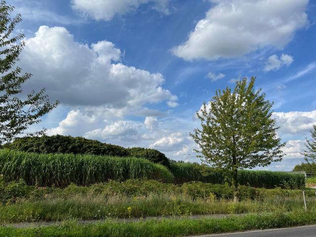 Omgeving (1-5 km)
