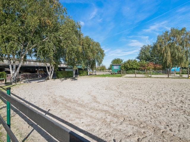 Tuin