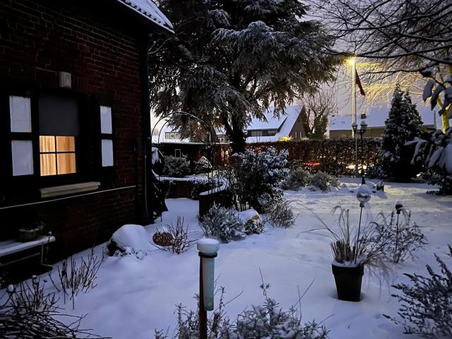 Tuin