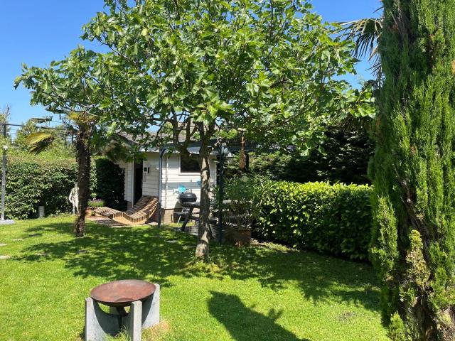 Tuin