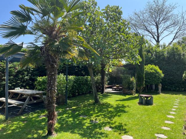 Tuin