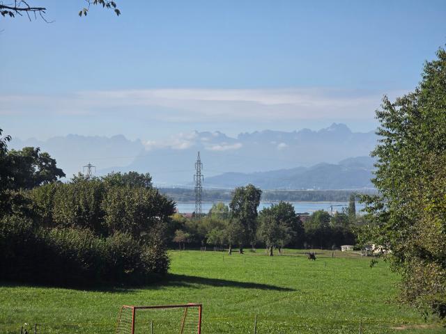 Blick aufs Wasser