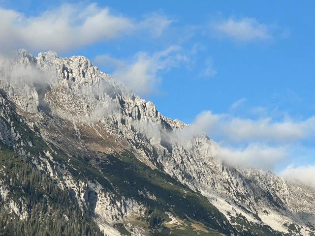 Vue
