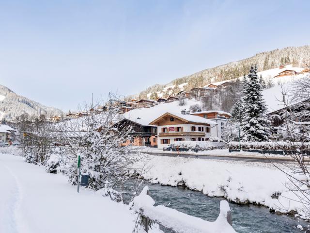 Immediate Surroundings (<1 km)