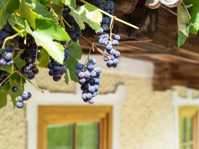 Ambiance / plan rapproché